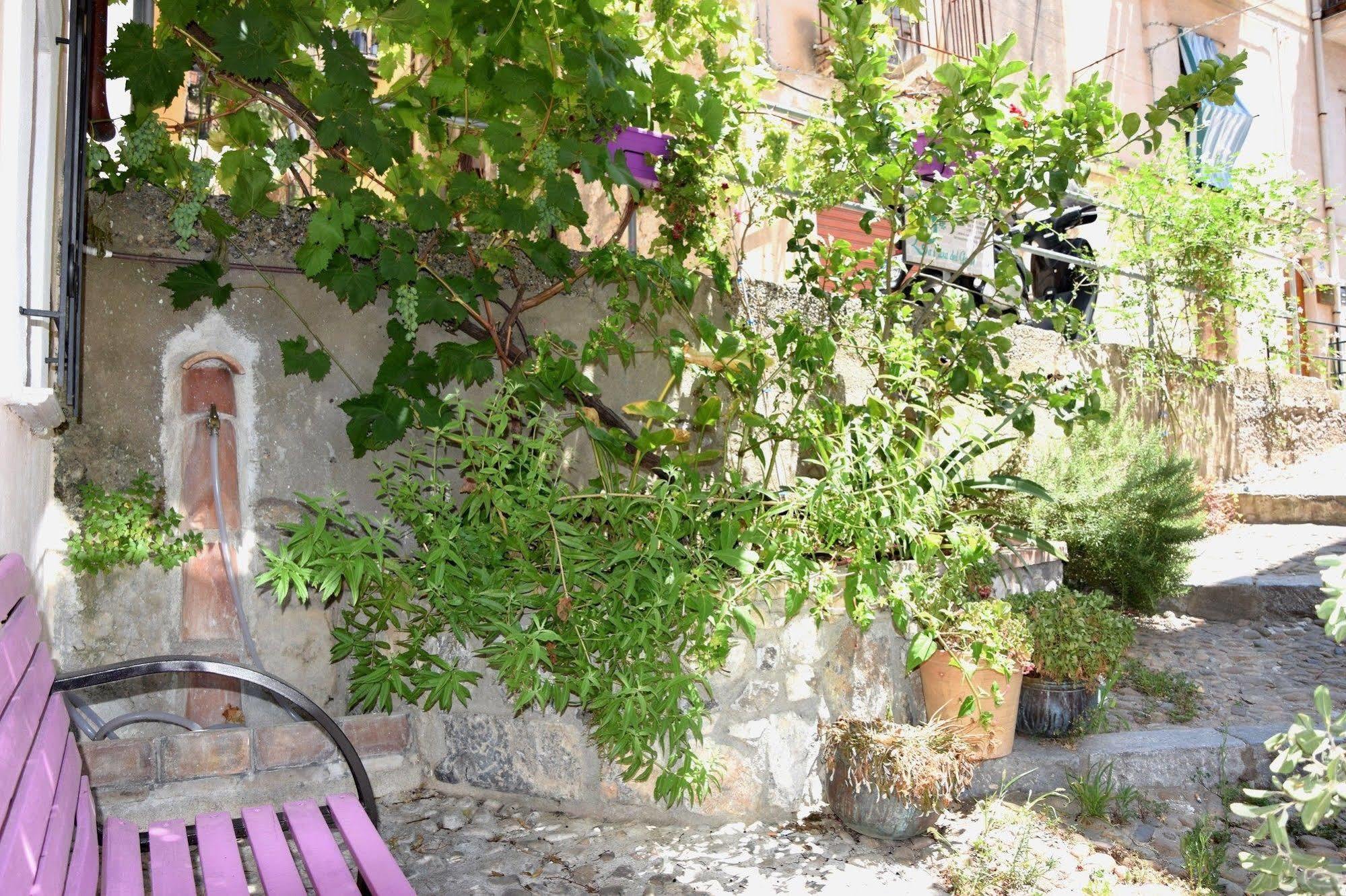 La Casa Del Geko Bed & Breakfast Чефалу Екстериор снимка